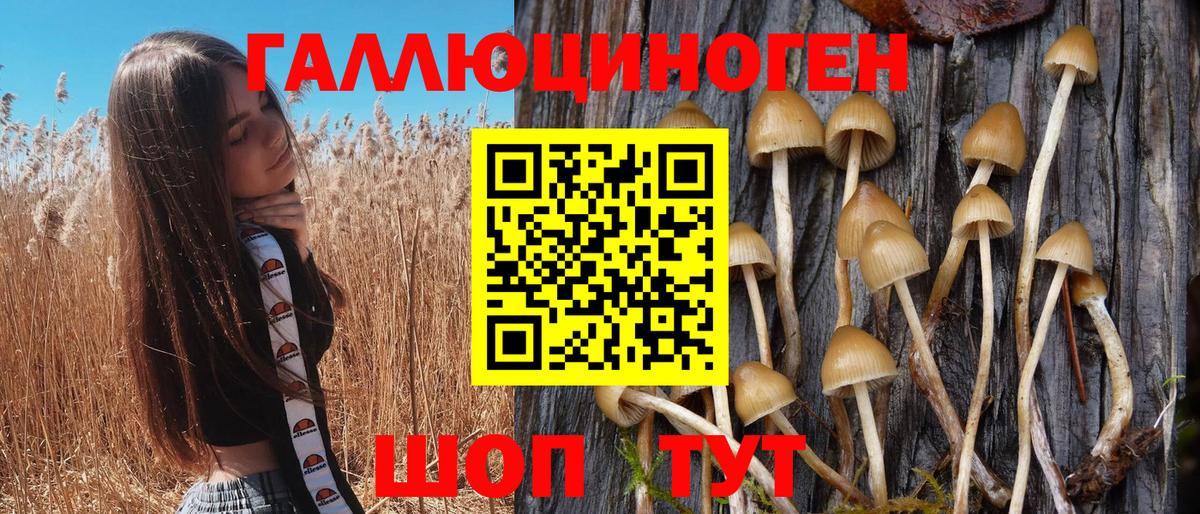 Галлюциногенные грибы Psilocybe Каменск-Уральский